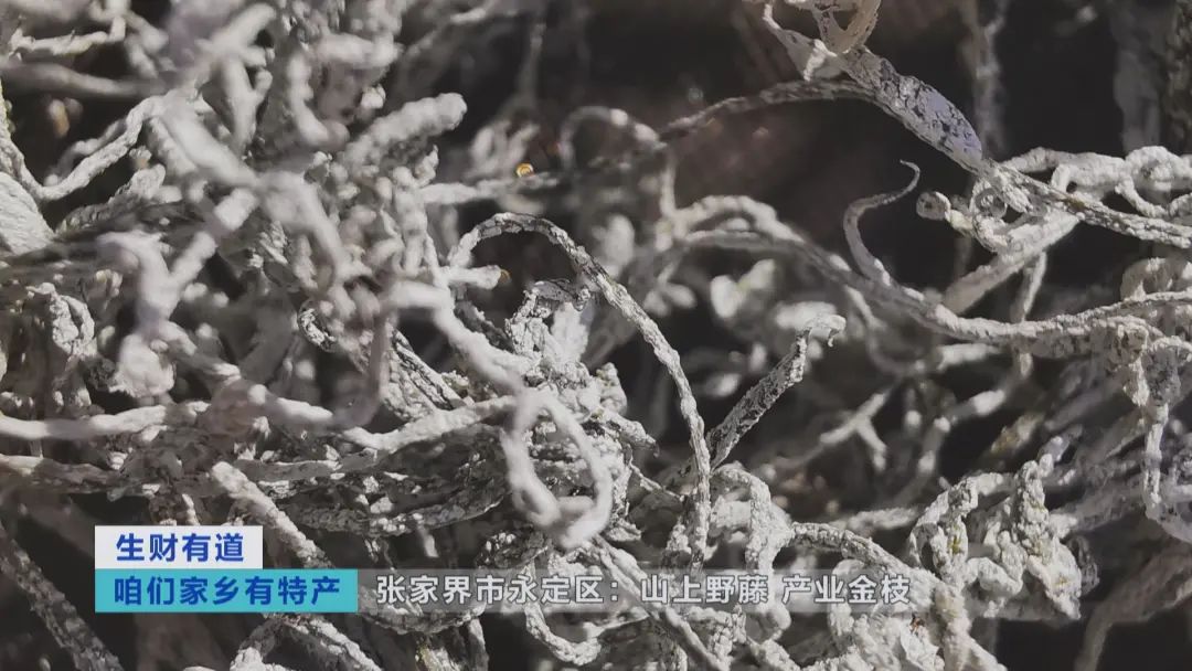 微信圖片_20211028122501.jpg 圖片