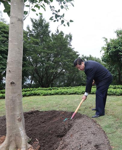 2012年12月7日至11日，習(xí)近平在廣東省考察工作。這是8日上午，習(xí)近平在深圳蓮花山公園種下一棵高山榕樹。新華社記者 蘭紅光 攝