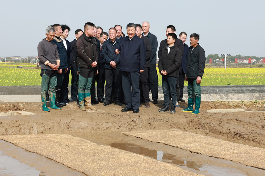 2024年3月18日至21日，中共中央總書記、國家主席、中央軍委主席習近平在湖南考察。這是19日下午，習近平在常德市鼎城區(qū)謝家鋪鎮(zhèn)港中坪村走進田間，察看秧苗培育和春耕備耕進展。新華社記者 王曄 攝
